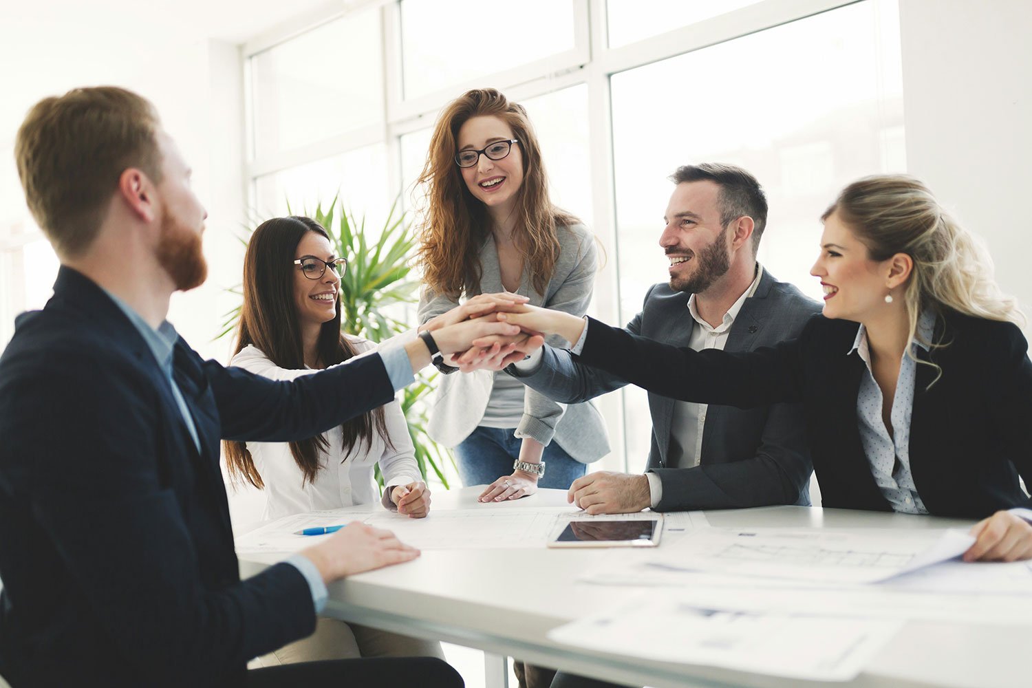 Photo of Lou Consulting